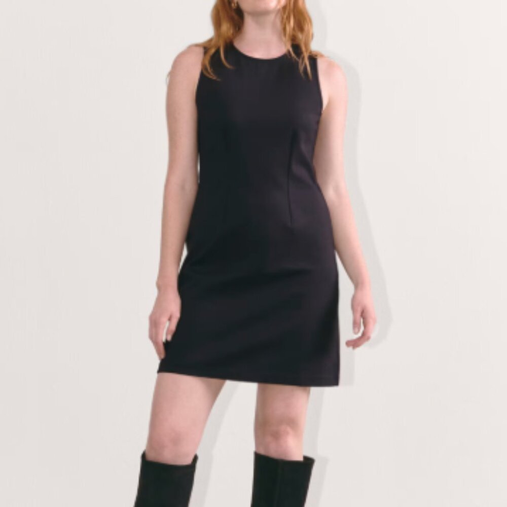 Everlane Black Sleeveless Mini Dress